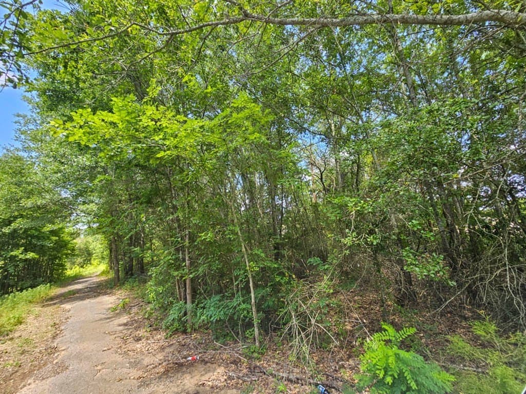 17.05 acres in ANDERSON County - photo 9
