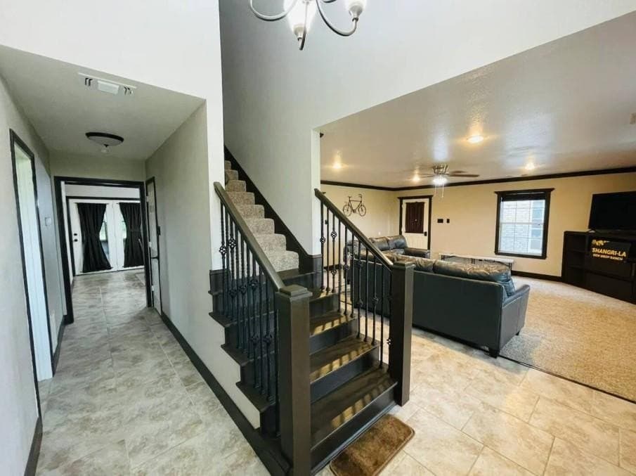 20 acres in Grayson County gallery image 4