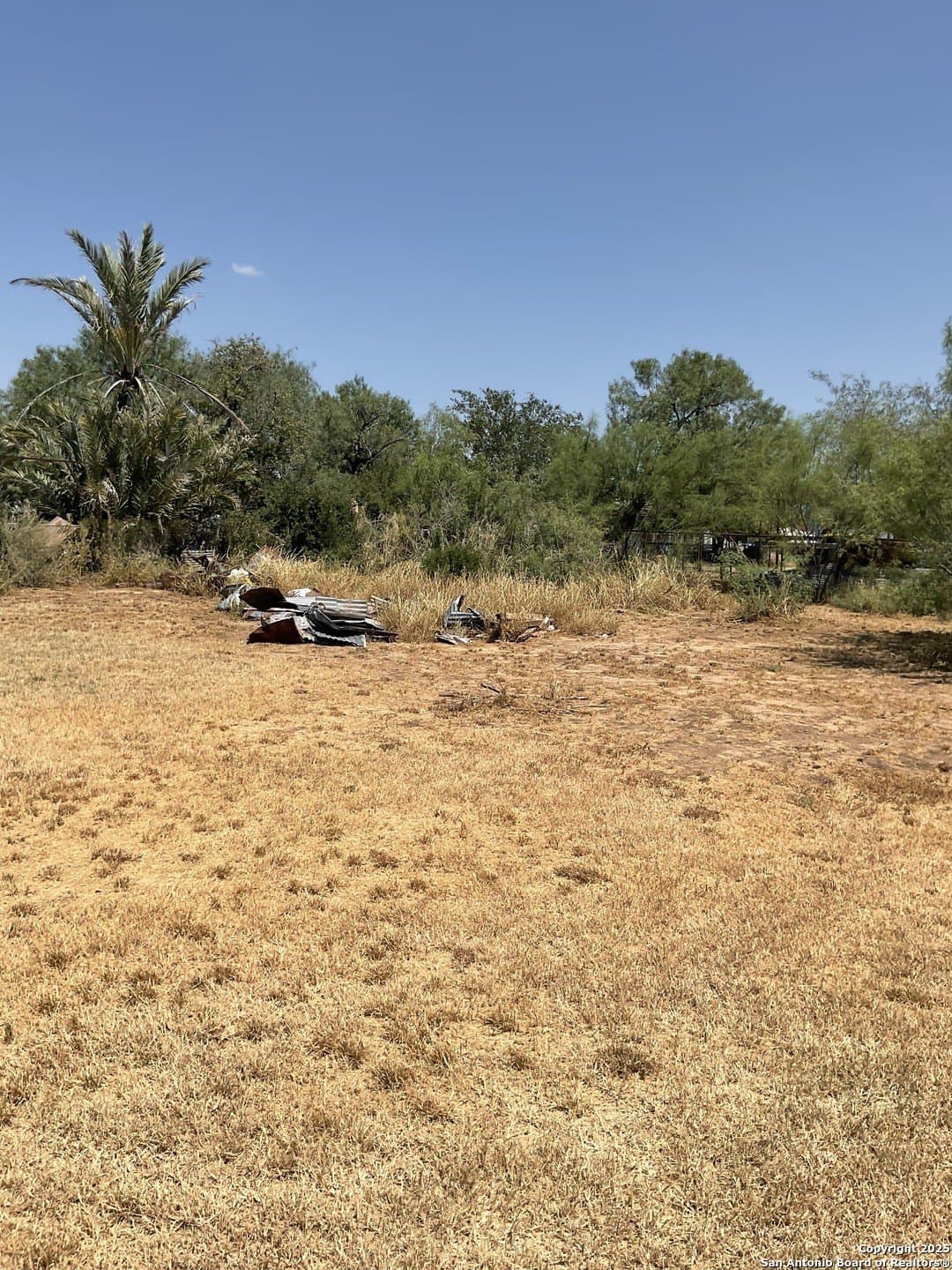 0.43 acres in Frio County gallery image 2