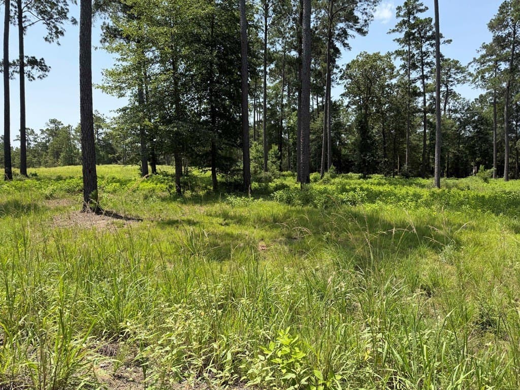 1 acres in Texas County featured view
