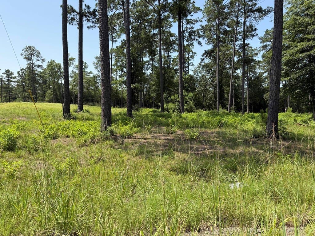 1 acres in Texas County gallery image 3