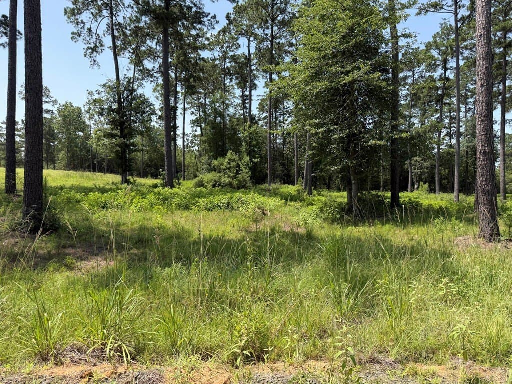 1 acres in Texas County gallery image 4