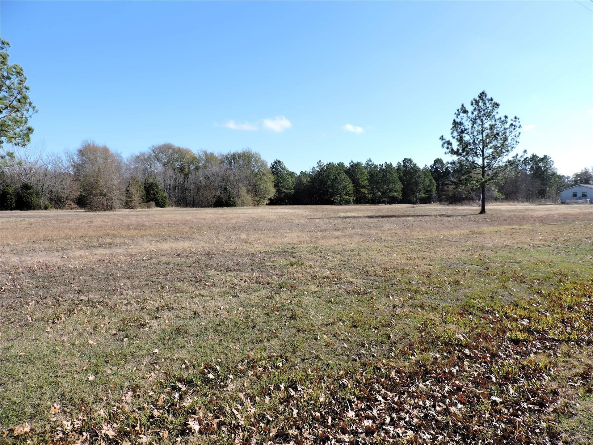 14.12 acres in Henderson County - photo 6