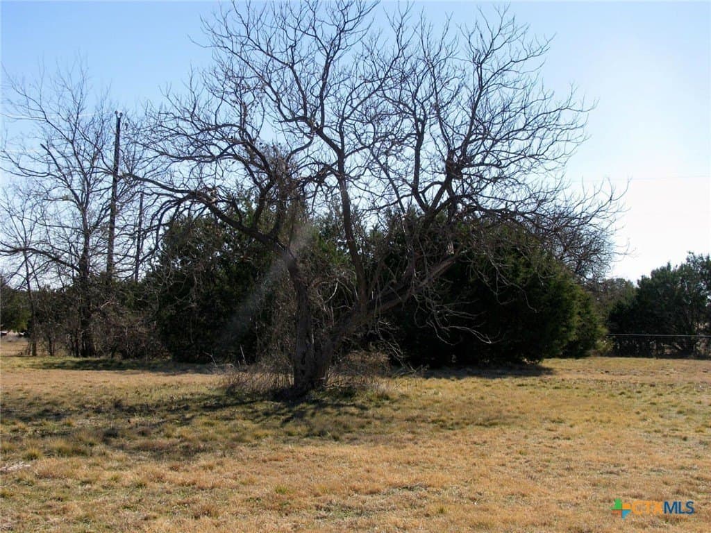 3 acres in Coryell County - photo 15
