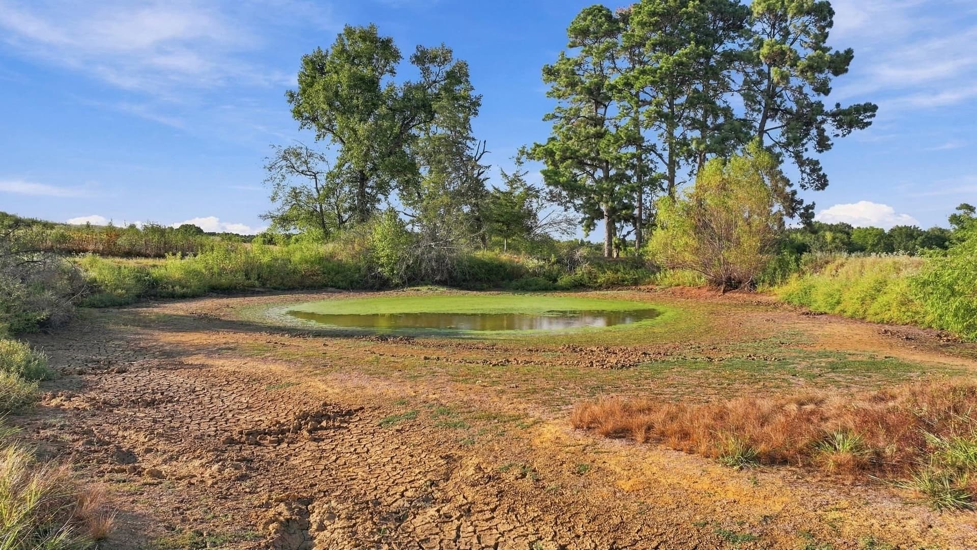 38.67 acres in Morris County - photo 8