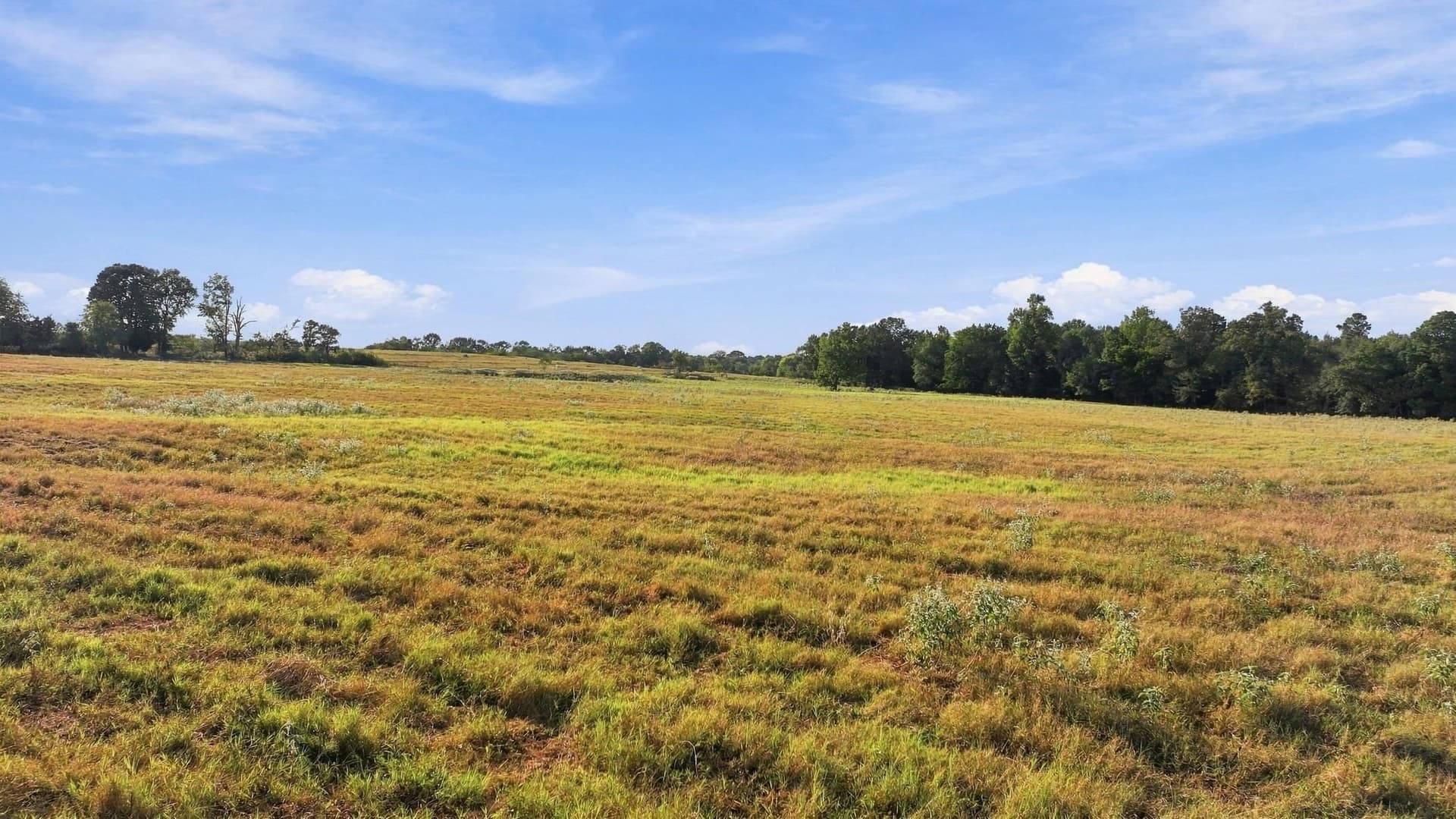38.67 acres in Morris County - photo 13