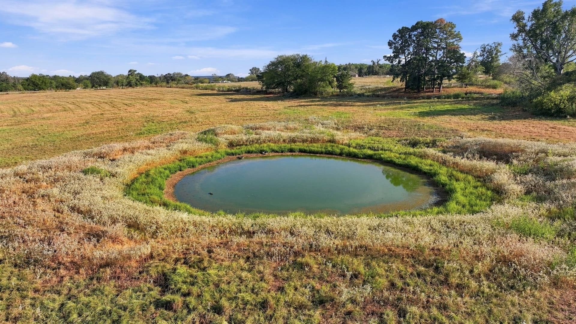 38.67 acres in Morris County - photo 6
