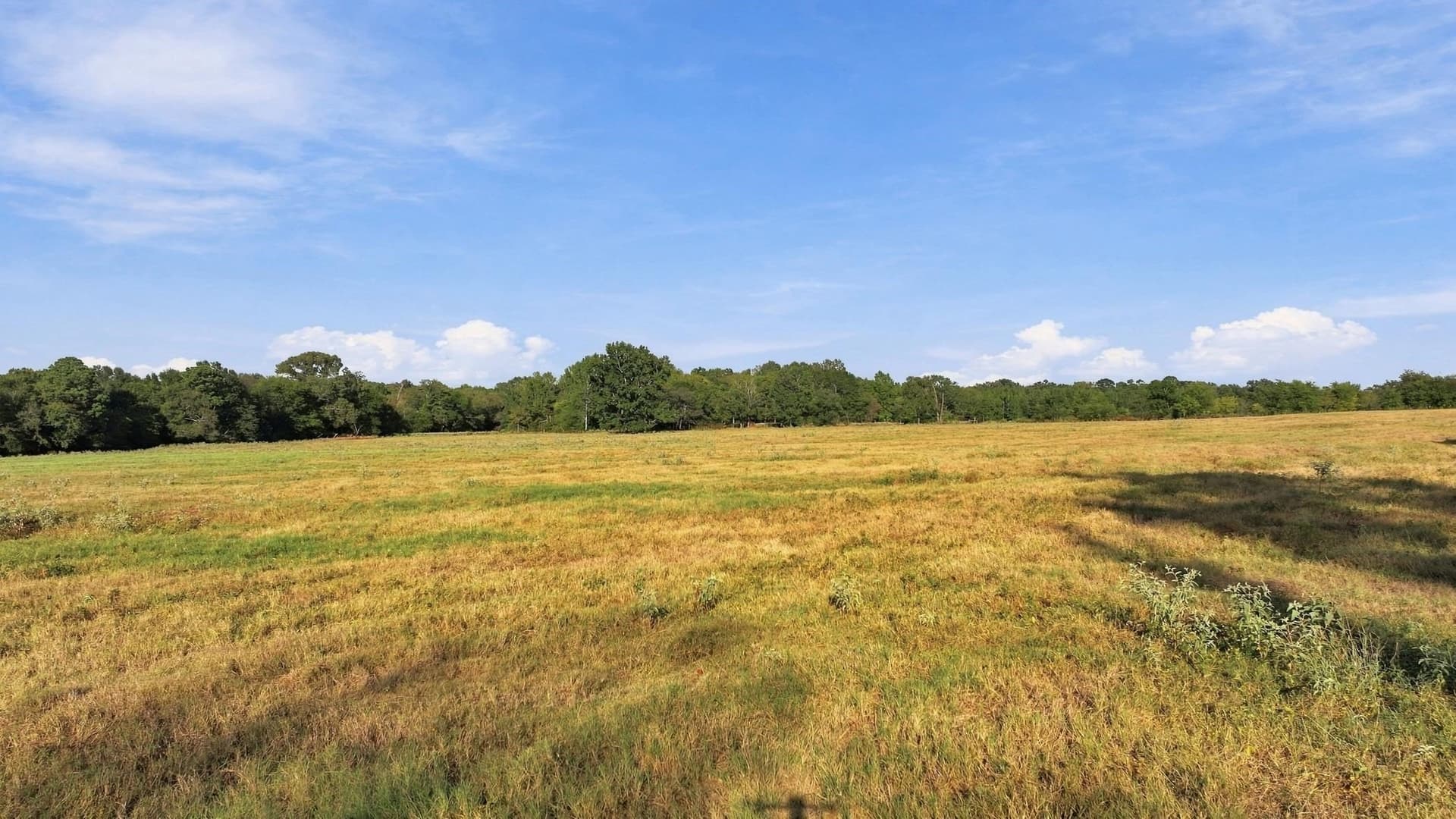38.67 acres in Morris County - photo 9