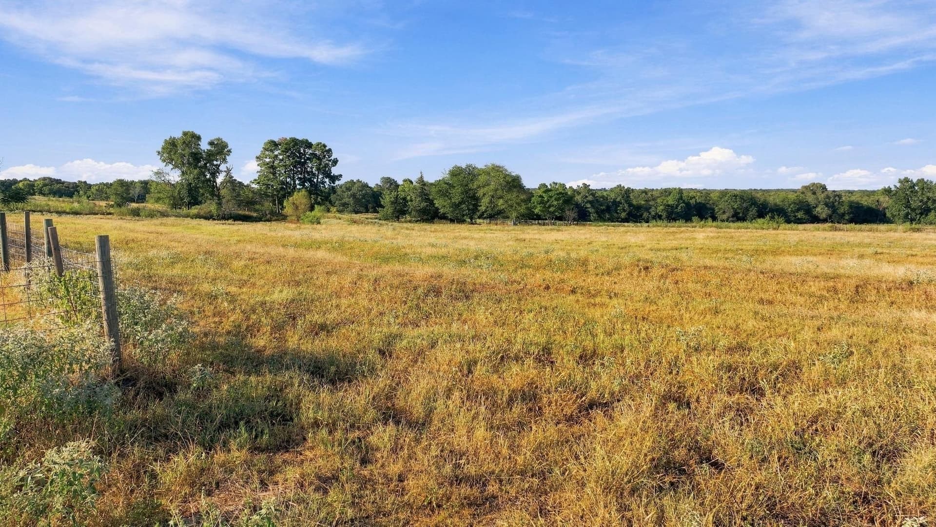38.67 acres in Morris County - photo 10