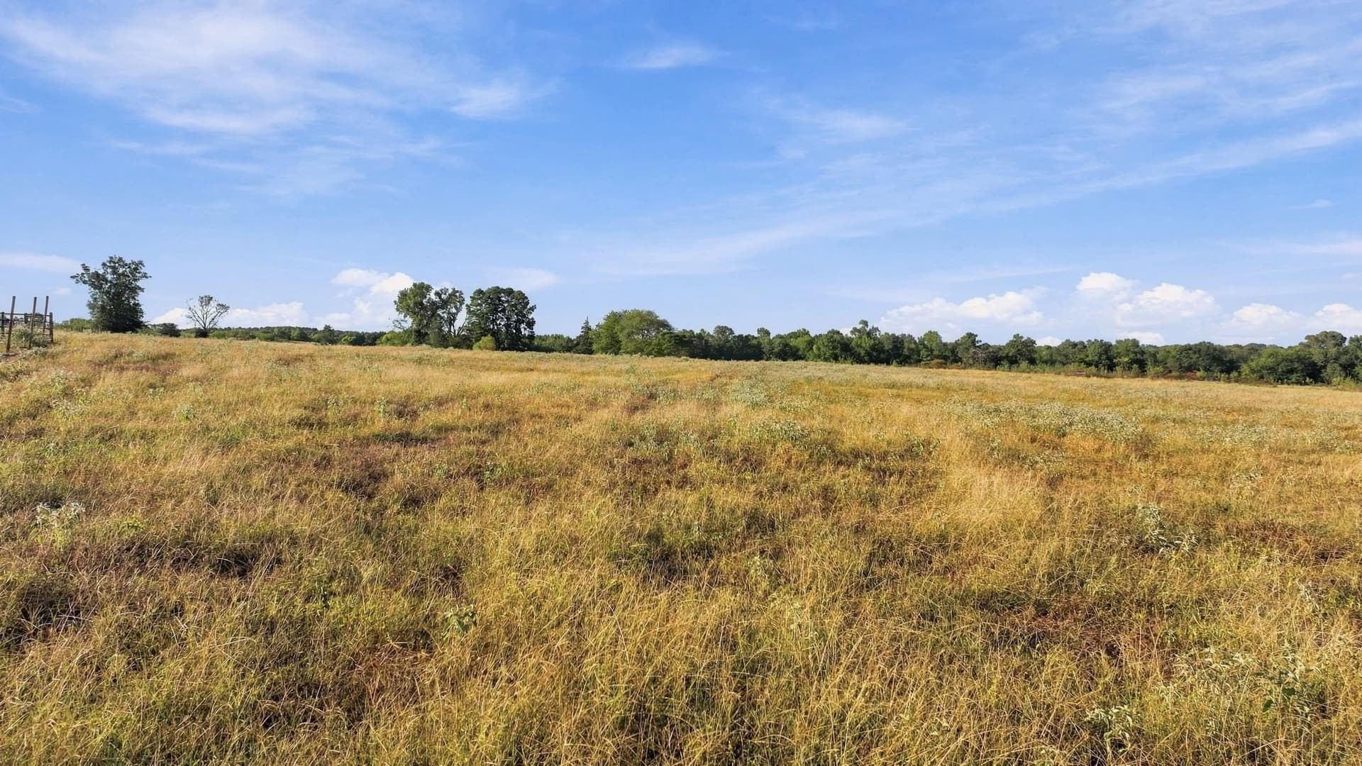 38.67 acres in Morris County - photo 11