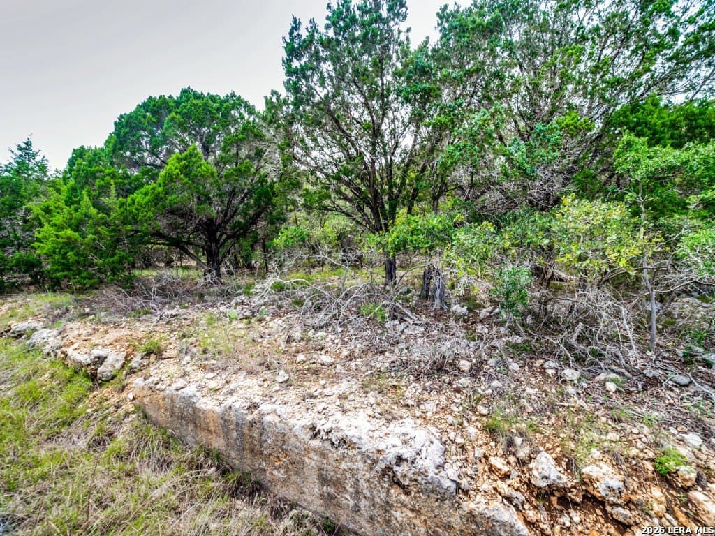 4.43 acres in Kendall County - photo 7