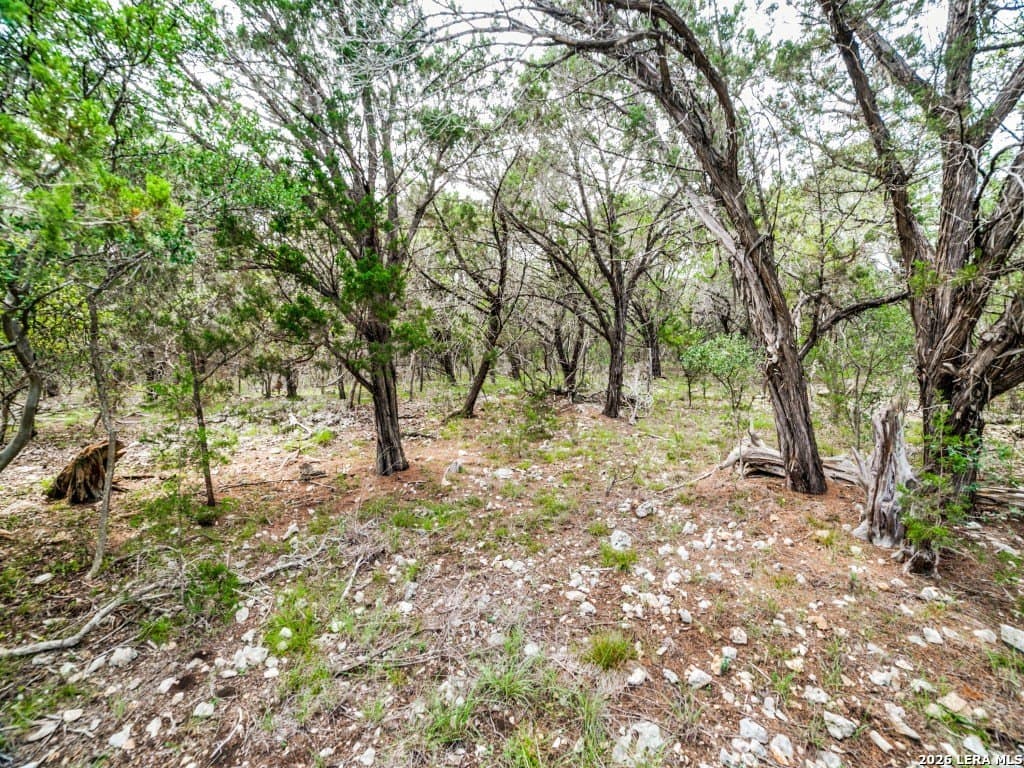 4.43 acres in Kendall County - photo 5