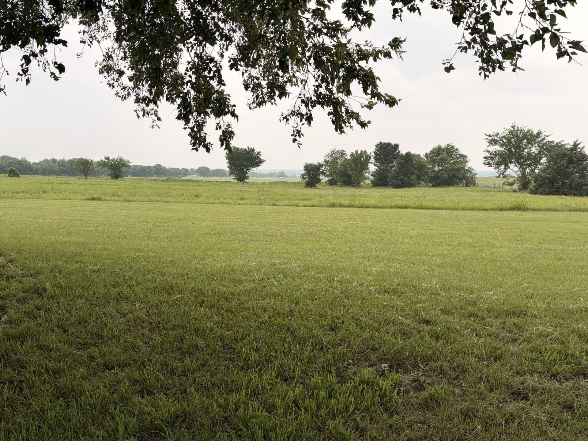 10.84 acres in Wise County gallery image 4