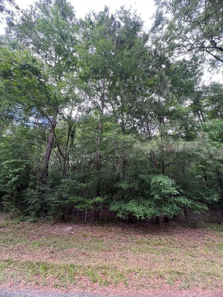 1.83 acres in Texas County gallery image 4