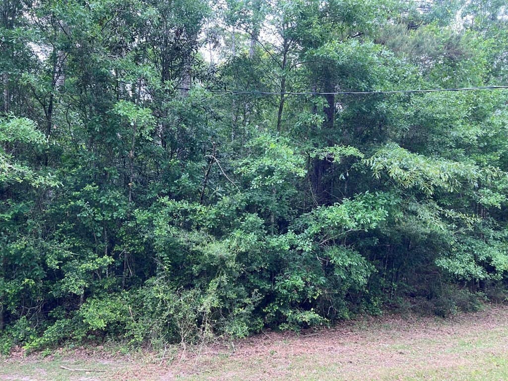 1.83 acres in Texas County - photo 6