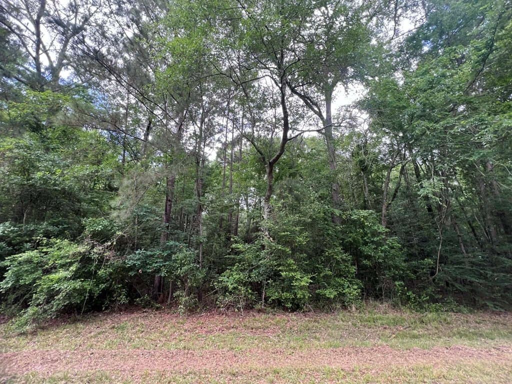 1.83 acres in Texas County - photo 10