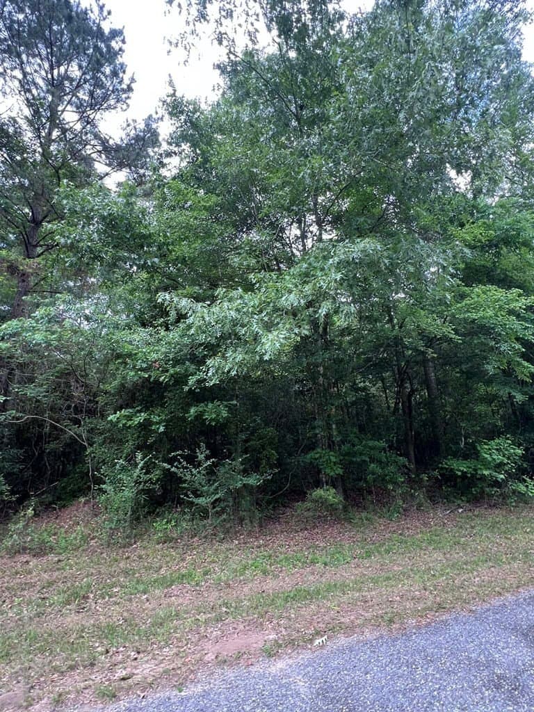 1.83 acres in Texas County - photo 12