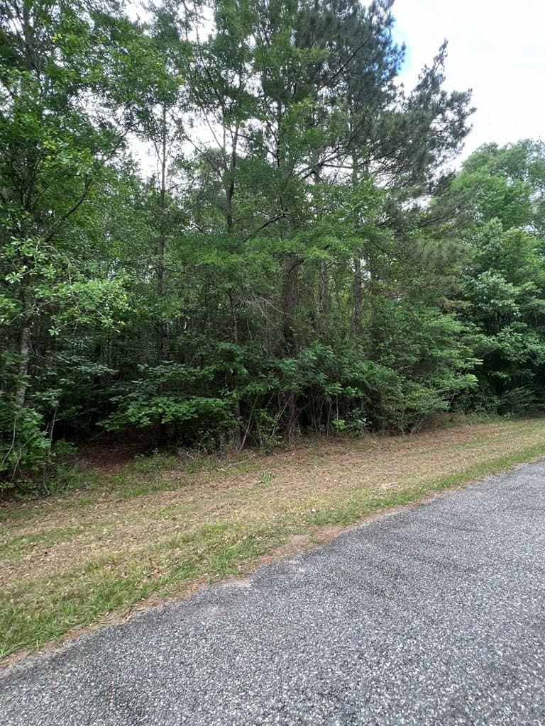 1.83 acres in Texas County - photo 11