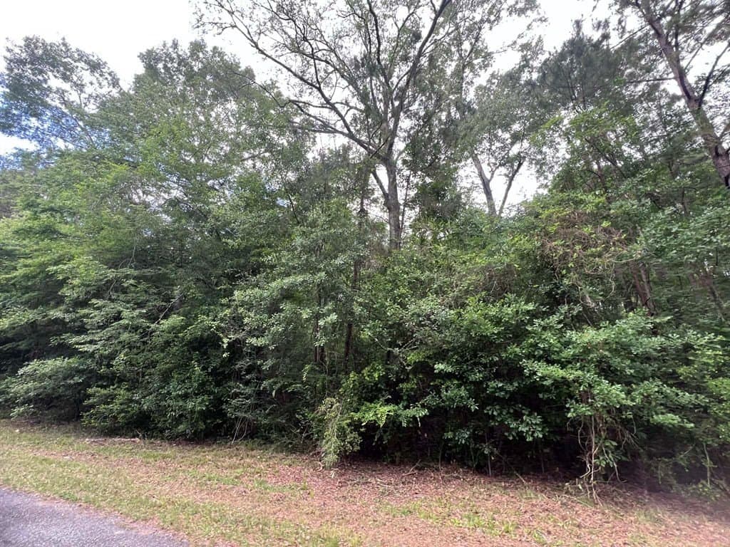 1.83 acres in Texas County - photo 8