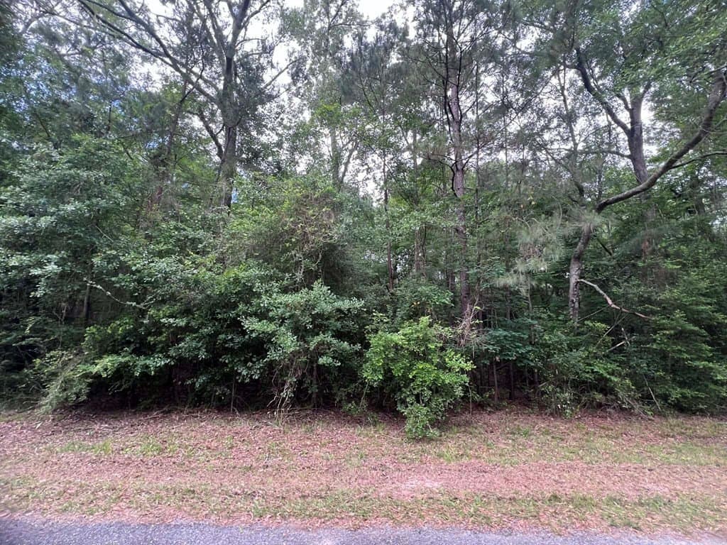 1.83 acres in Texas County - photo 7