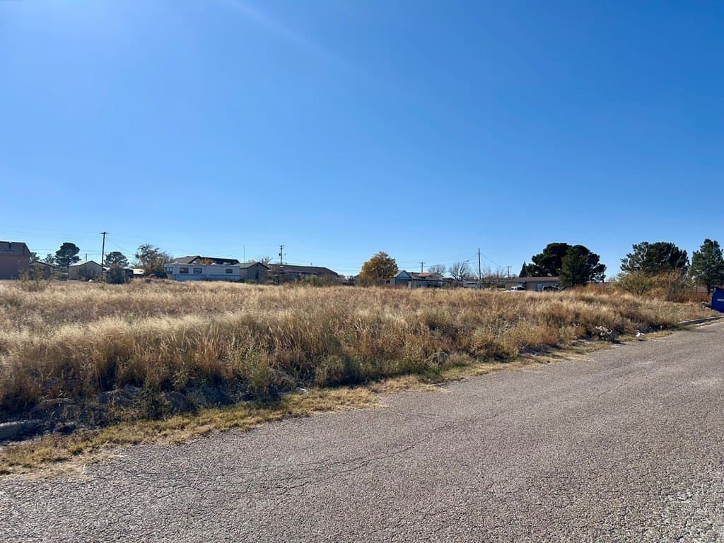 0.5 acres in Pecos County gallery image 3