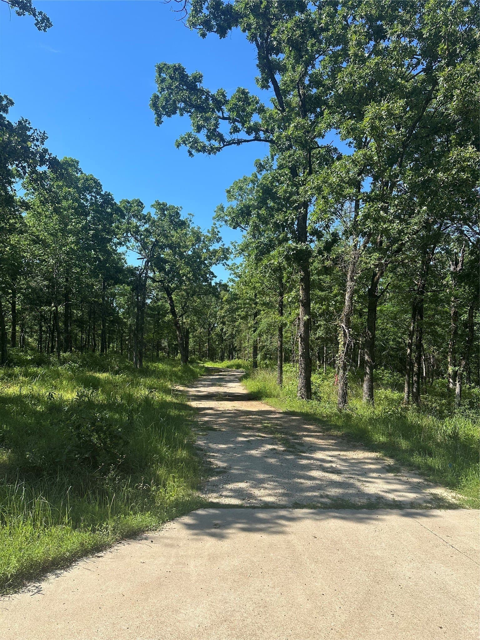 4 acres in Henderson County gallery image 2
