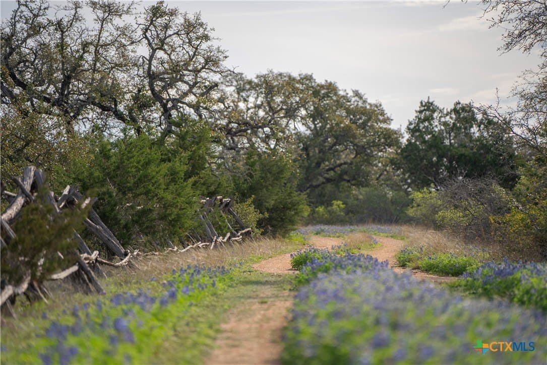 100.01 acres in Hays County - photo 6