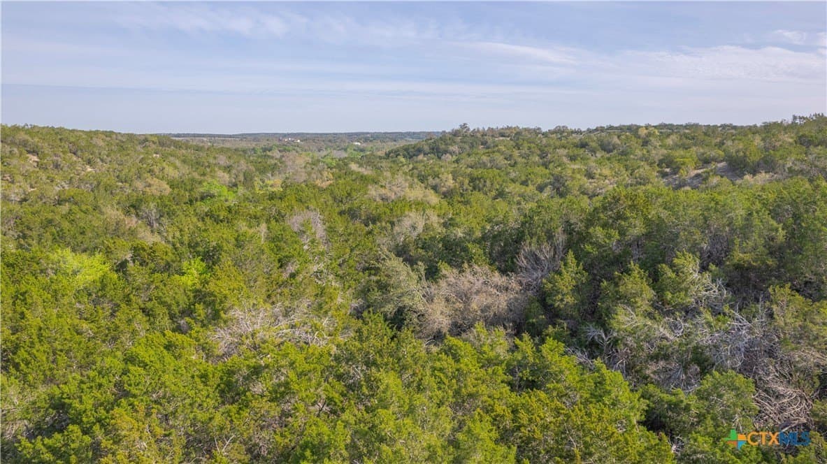 100.01 acres in Hays County - photo 10
