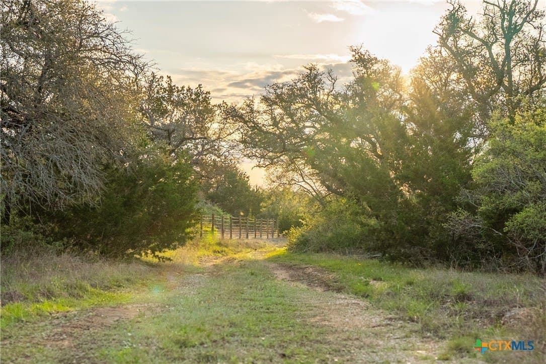 100.01 acres in Hays County - photo 8