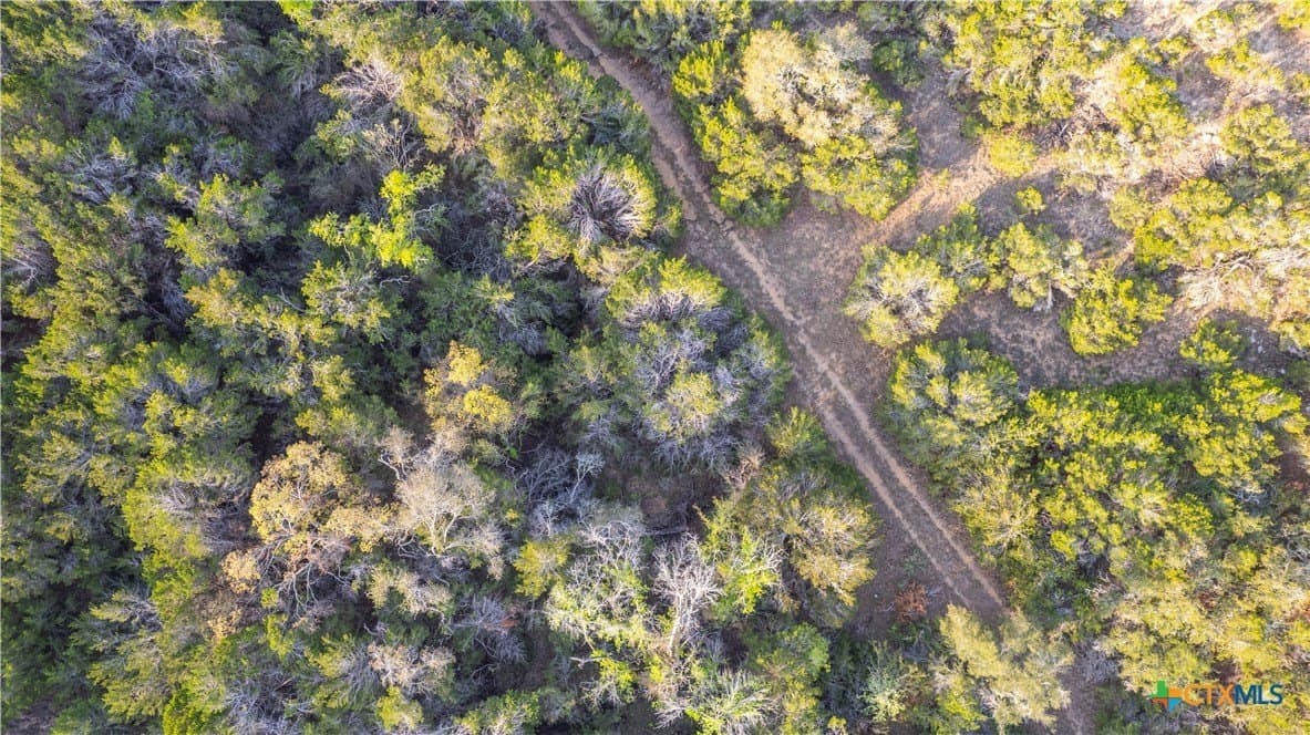 100.01 acres in Hays County - photo 21