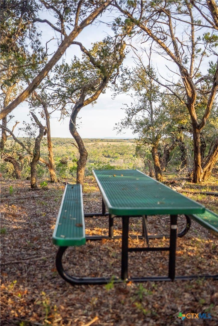 100.01 acres in Hays County - photo 38