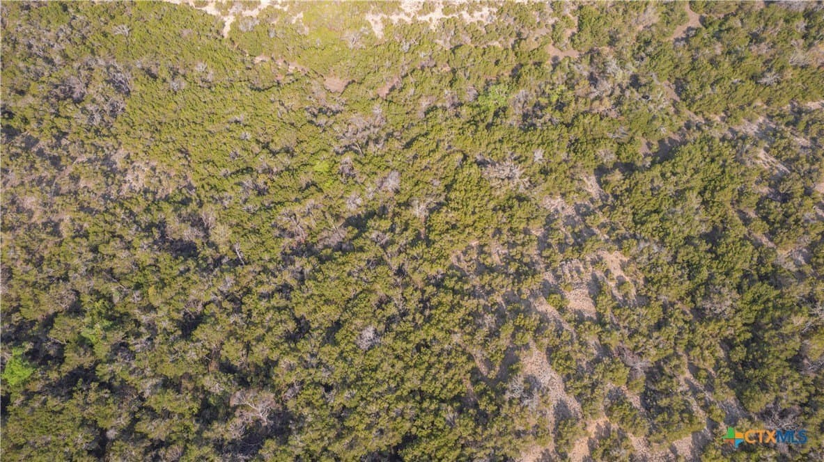 100.01 acres in Hays County - photo 32
