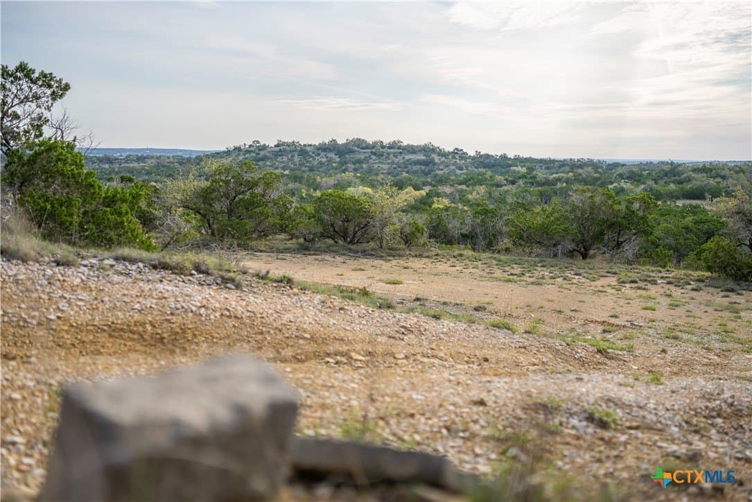 100.01 acres in Hays County - photo 26