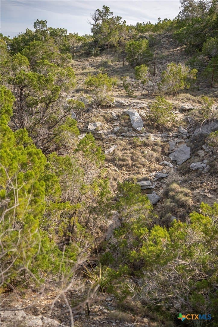 100.01 acres in Hays County - photo 33