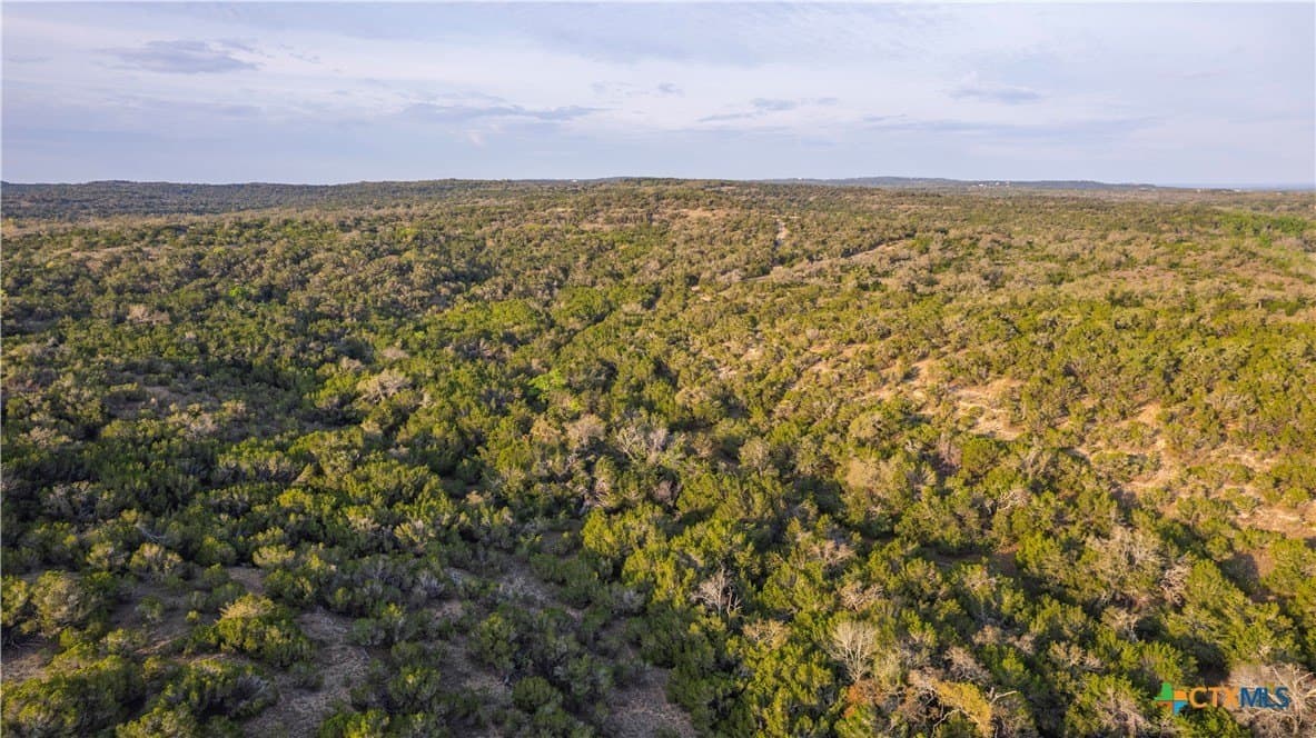 100.01 acres in Hays County - photo 22