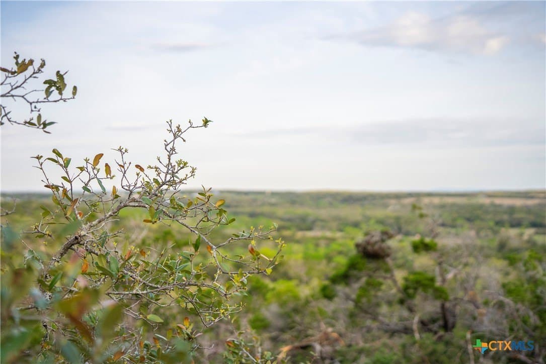 100.01 acres in Hays County - photo 29
