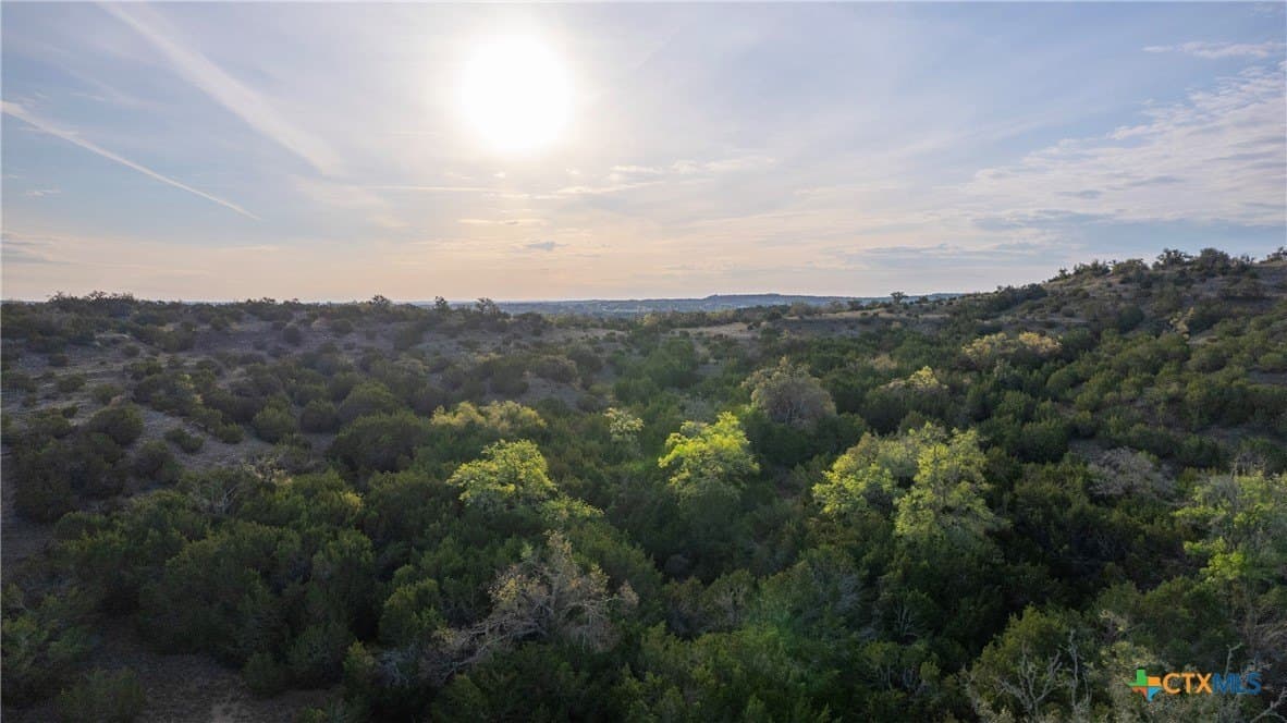 100.01 acres in Hays County featured view
