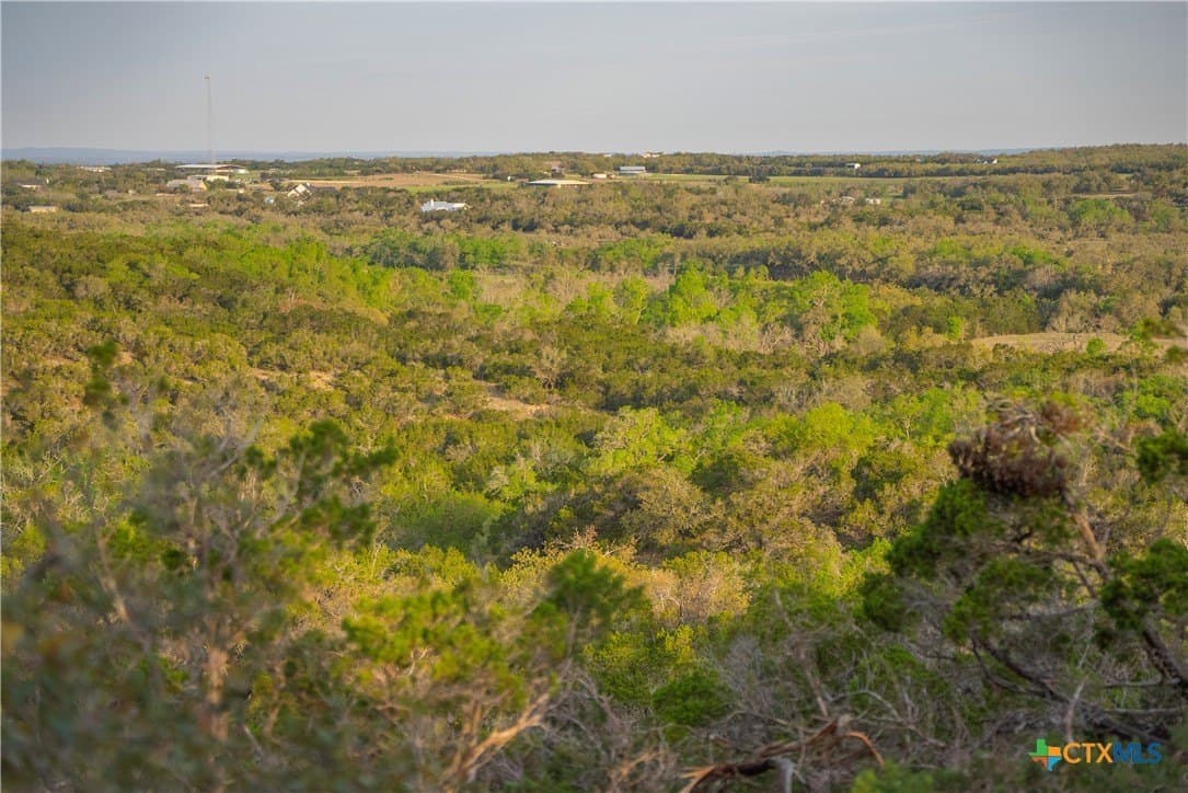 100.01 acres in Hays County - photo 9