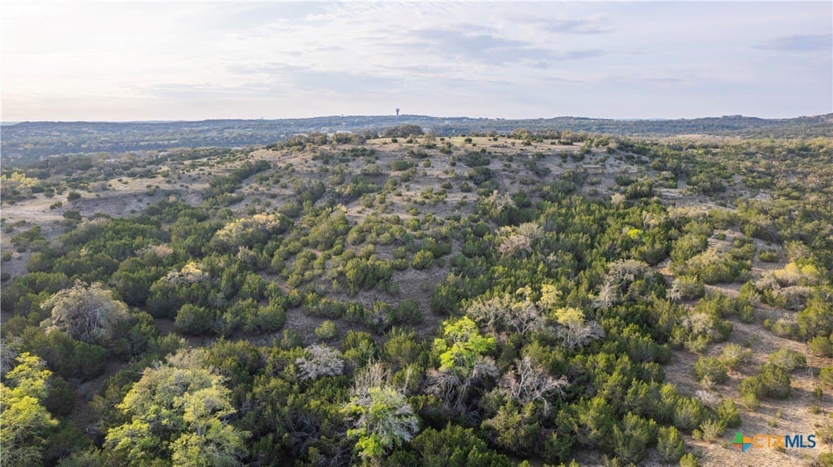 100.01 acres in Hays County - photo 7