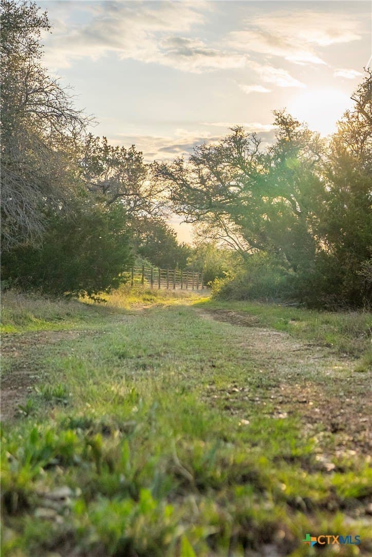 100.01 acres in Hays County - photo 31