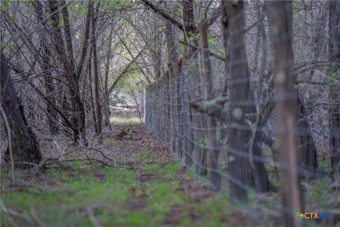 100.01 acres in Hays County - photo 24