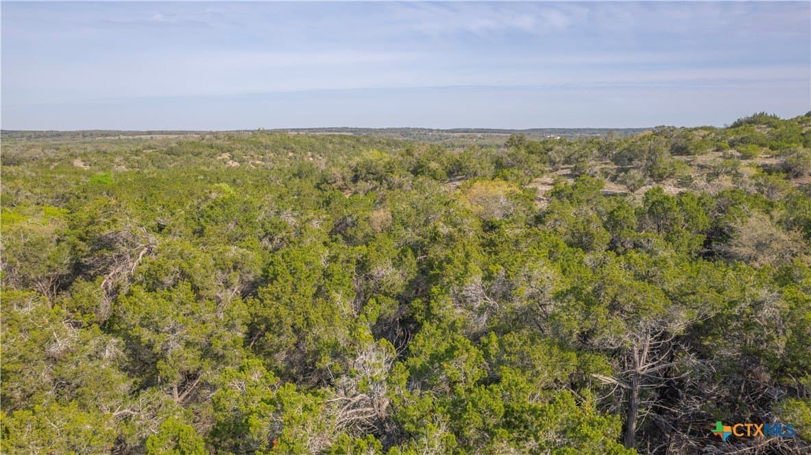 100.01 acres in Hays County - photo 11