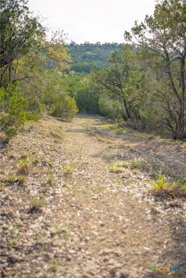 100.01 acres in Hays County - photo 23