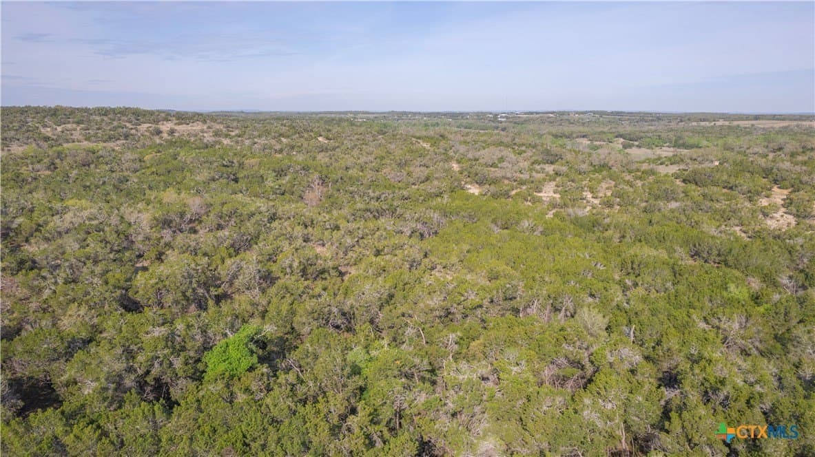 100.01 acres in Hays County - photo 12