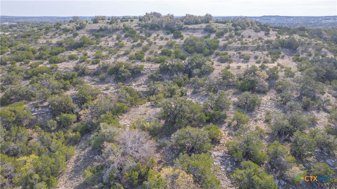100.01 acres in Hays County - photo 13