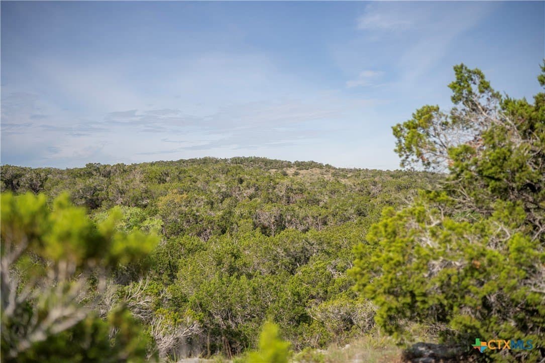 100.01 acres in Hays County - photo 16