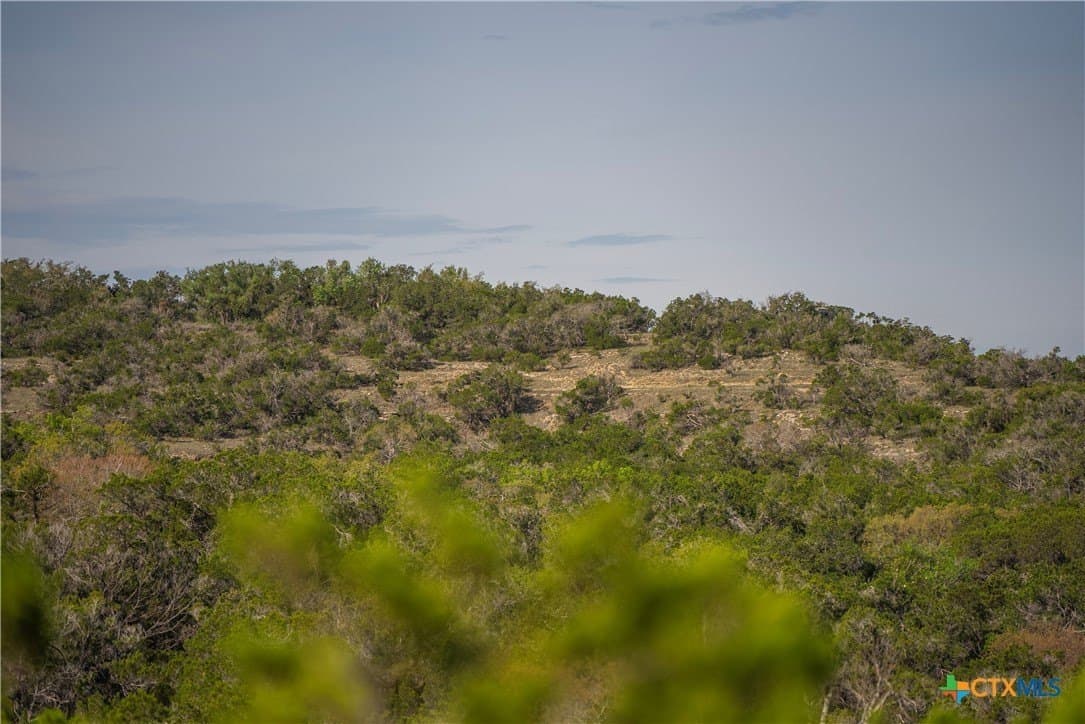 100.01 acres in Hays County - photo 15