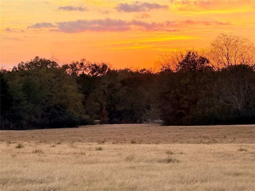 6.91 acres in Rains County gallery image 4