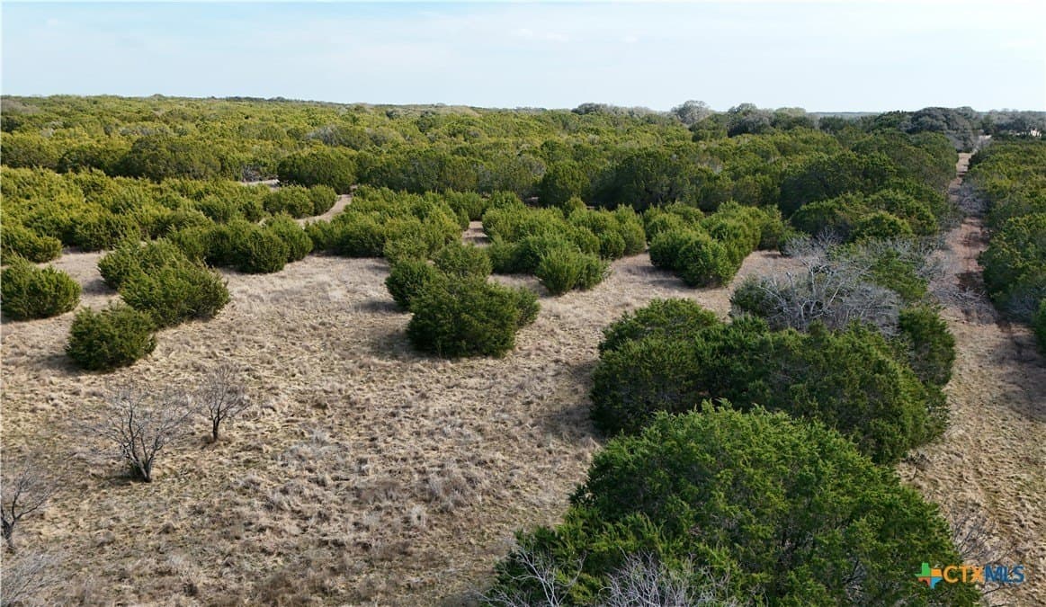 12.13 acres in Burnet County - photo 6