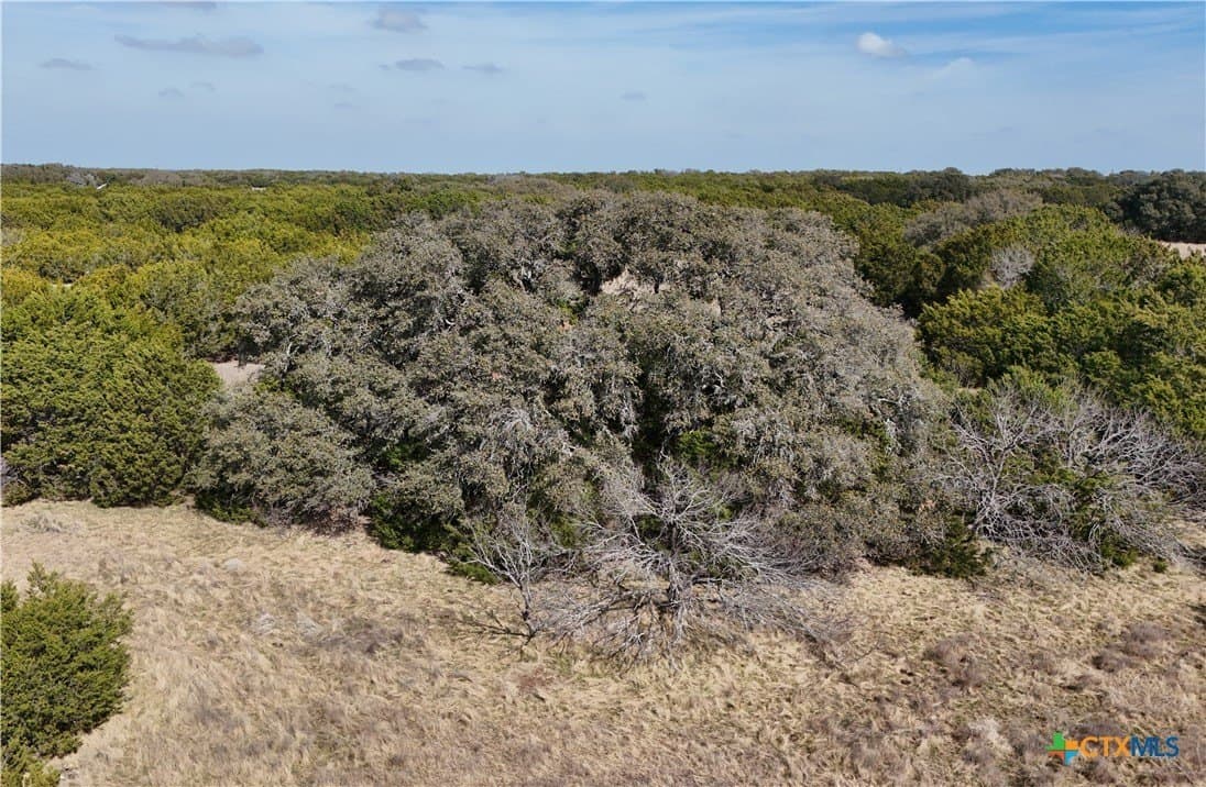 12.13 acres in Burnet County gallery image 3